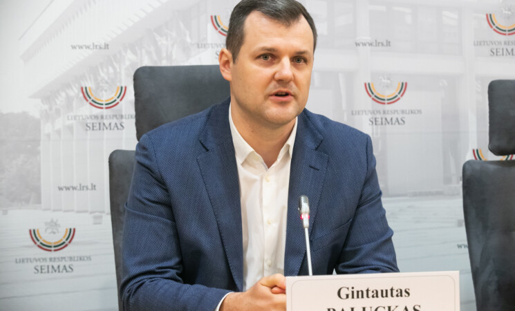 Kritika ministrų kabinetui dėl nepateikiamo antiinfliacinio paketo: gal Lietuvai reikia dviejų vyriausybių?