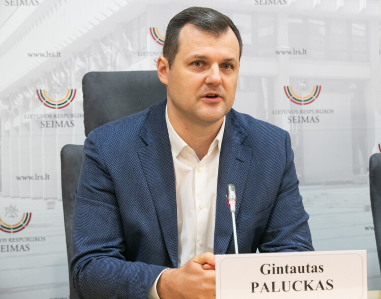 Kritika ministrų kabinetui dėl nepateikiamo antiinfliacinio paketo: gal Lietuvai reikia dviejų vyriausybių?